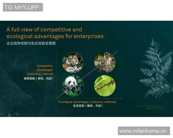 拜仁王者光环渐褪状态起伏未来转型与重建之路何处寻
